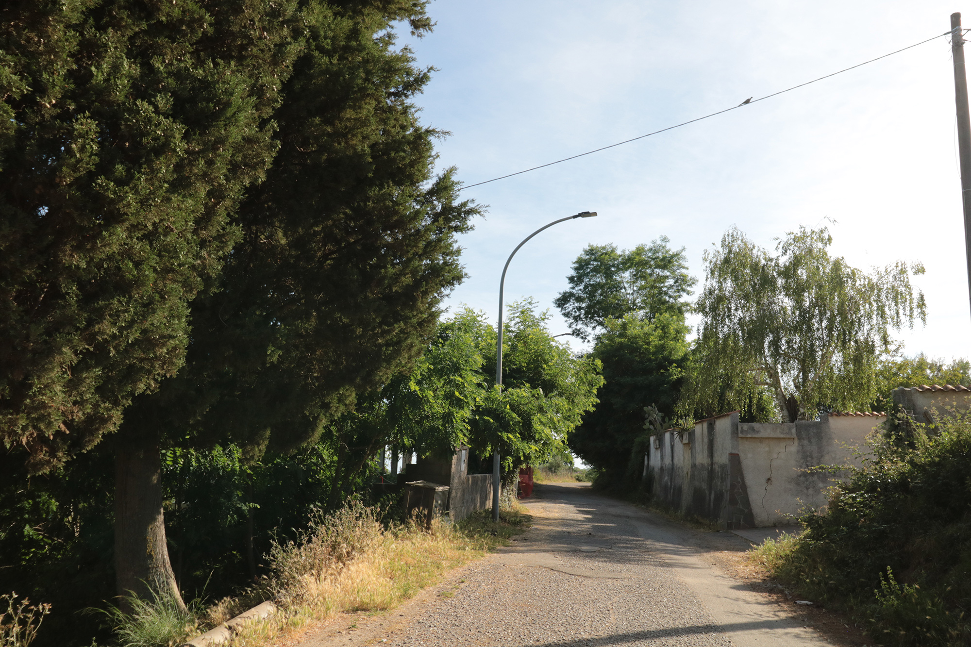 Weg durch die Olivenfelder bei Caria